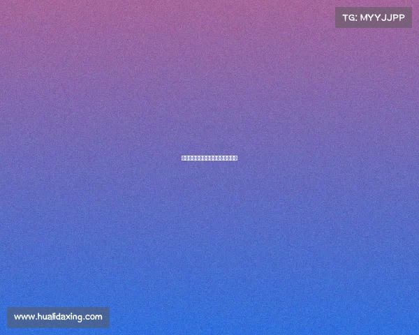 汇跑赛事是什么、汇跑赛事公司官网